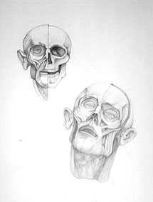 drawing03